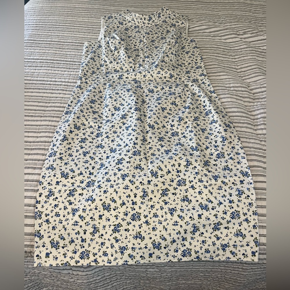 NWT Darling Brooks brothers dress size 12